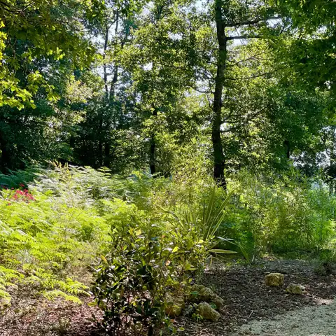 Un sentier du sous-bois du domaine de Sallebœuf.