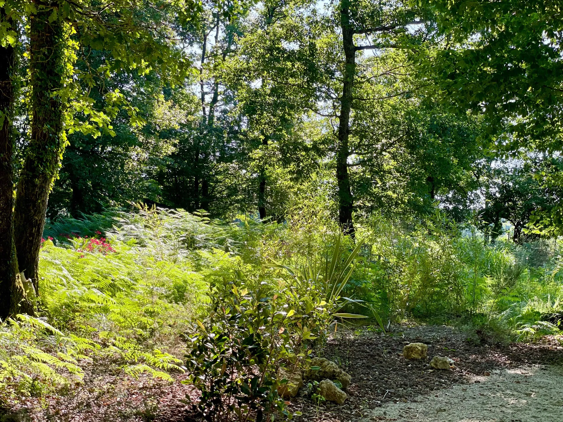 Le jardin nature du domaine de Sallebœuf en Gironde.