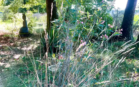 Hautes herbes, fleurs et statue de Bouddha dans le jardin du domaine de Sallebœuf.
