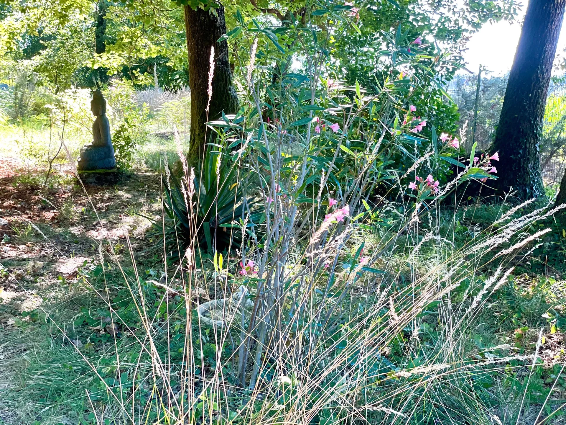 Coin de sérénité et sculpture dans le bois de Sallebœuf.